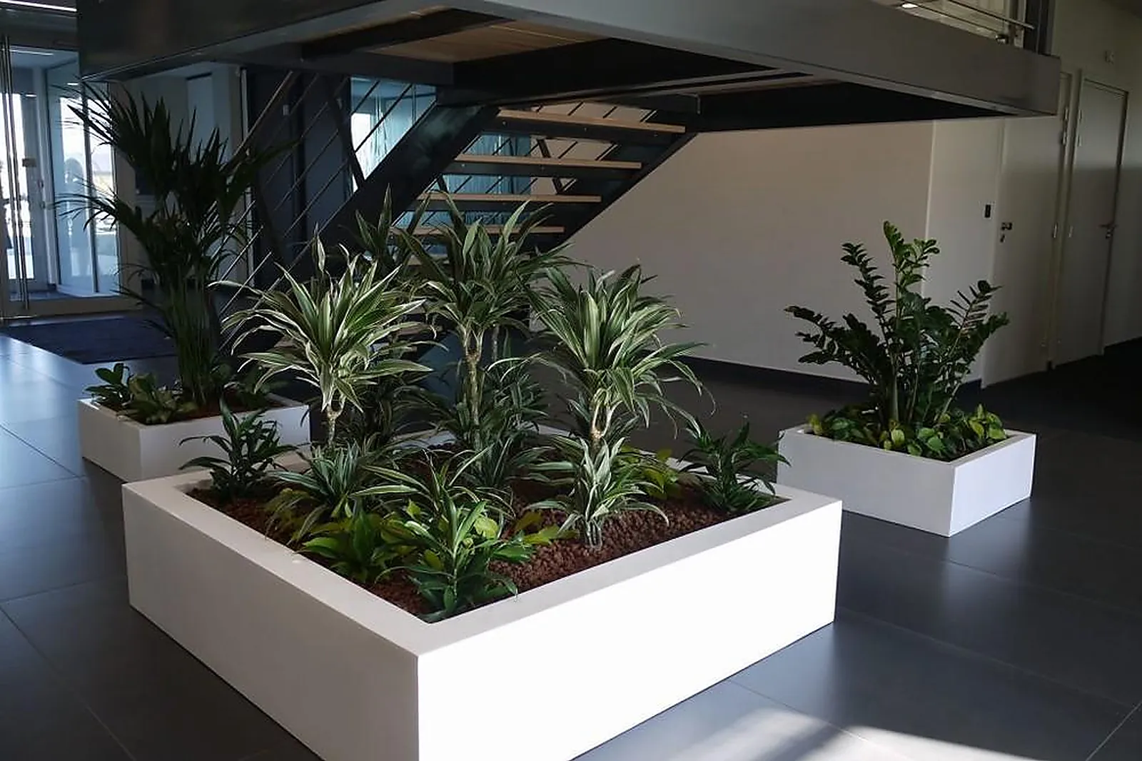 Prestataire Technique Audiovisuel, DÉCOTROPIC