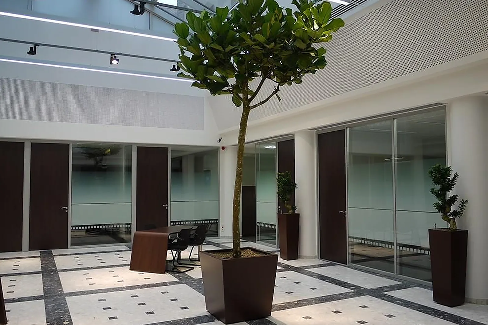 Prestataire Technique Audiovisuel, DÉCOTROPIC