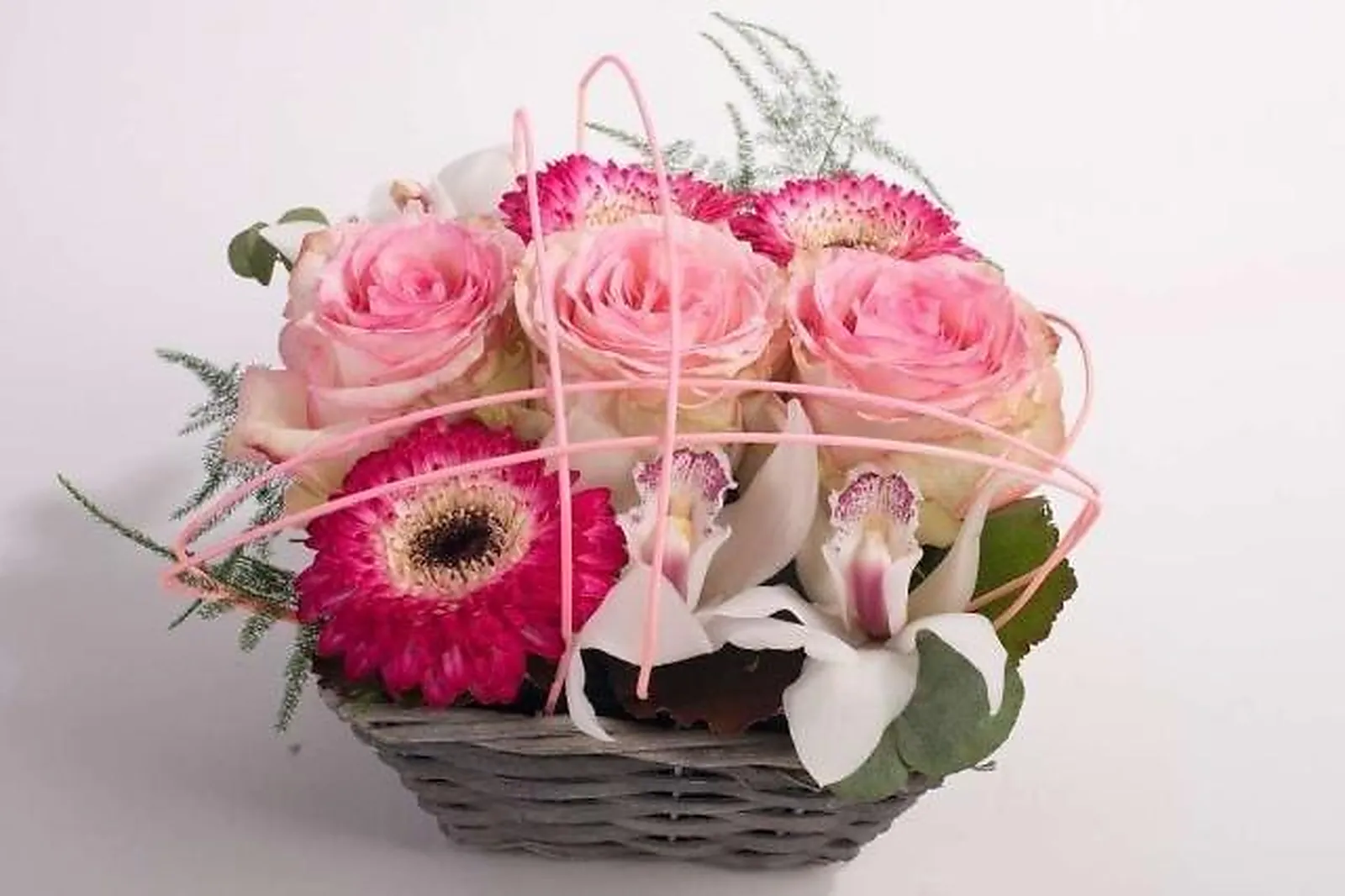 Prestataire Technique Audiovisuel, JANE LUCE