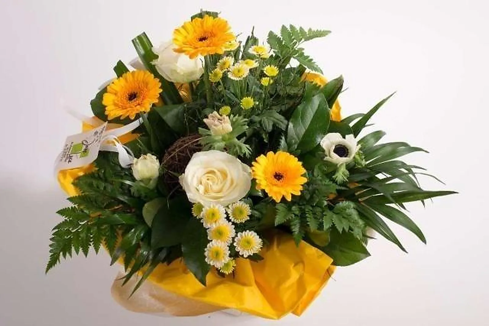 Prestataire Technique Audiovisuel, JANE LUCE