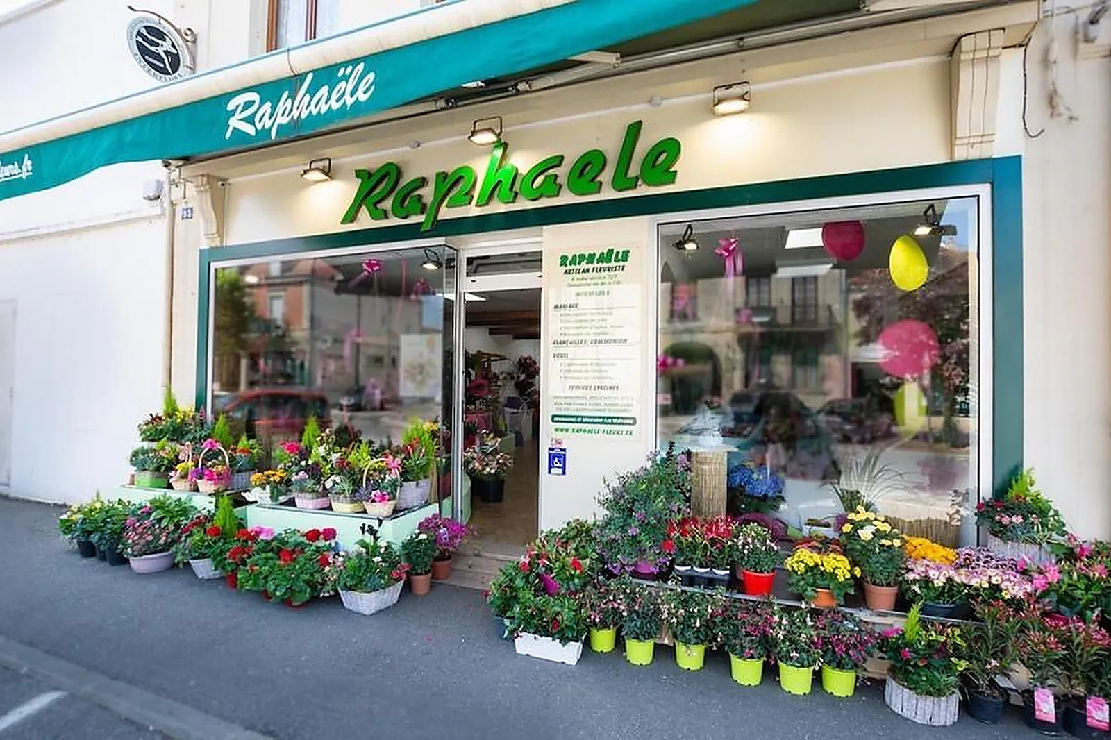 Prestataire Technique Audiovisuel, RAPHAËLE FLEURS