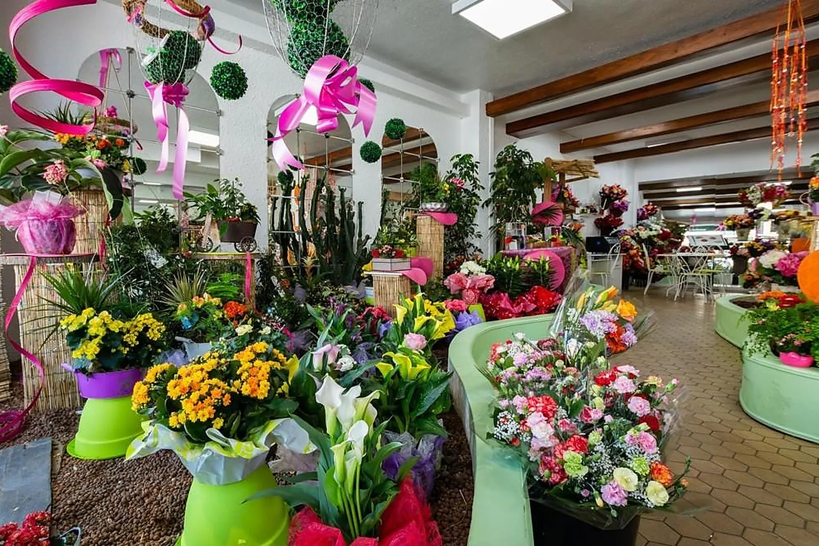 Prestataire Technique Audiovisuel, RAPHAËLE FLEURS