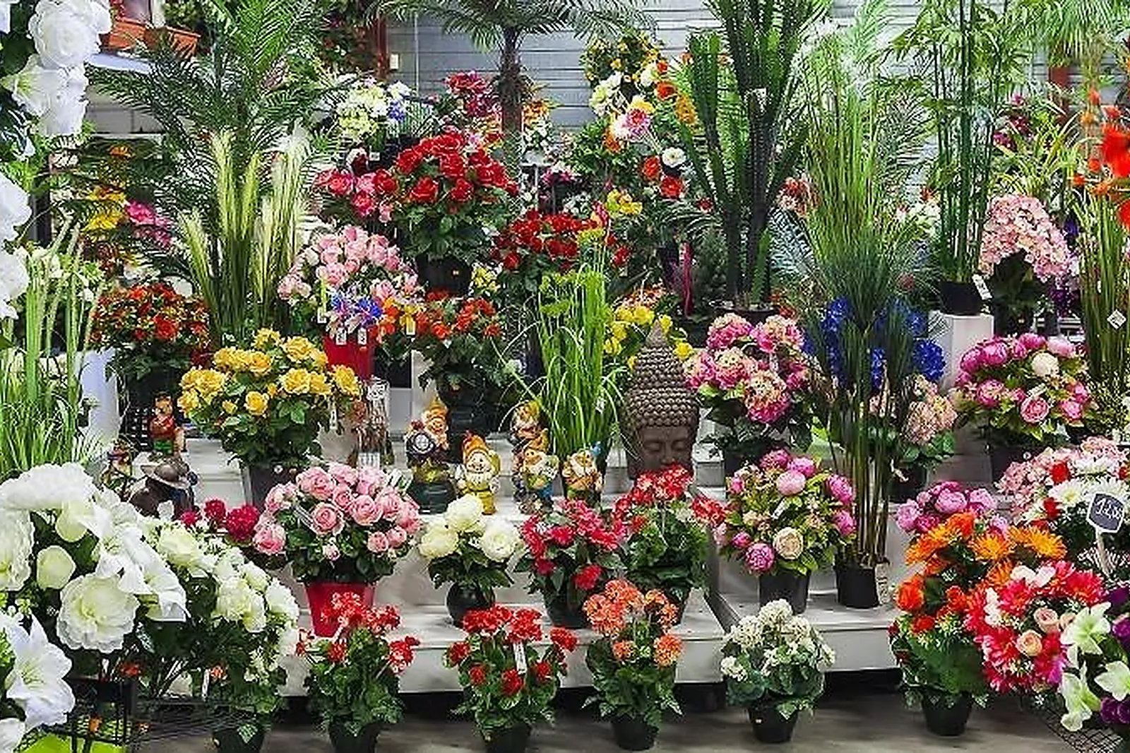 Prestataire Technique Audiovisuel, FLORA DÉCO