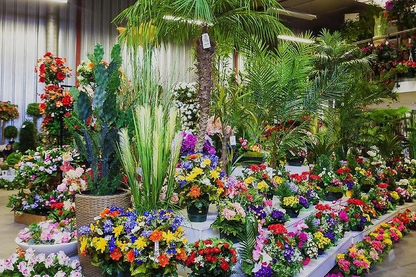 Prestataire Technique Audiovisuel, FLORA DÉCO