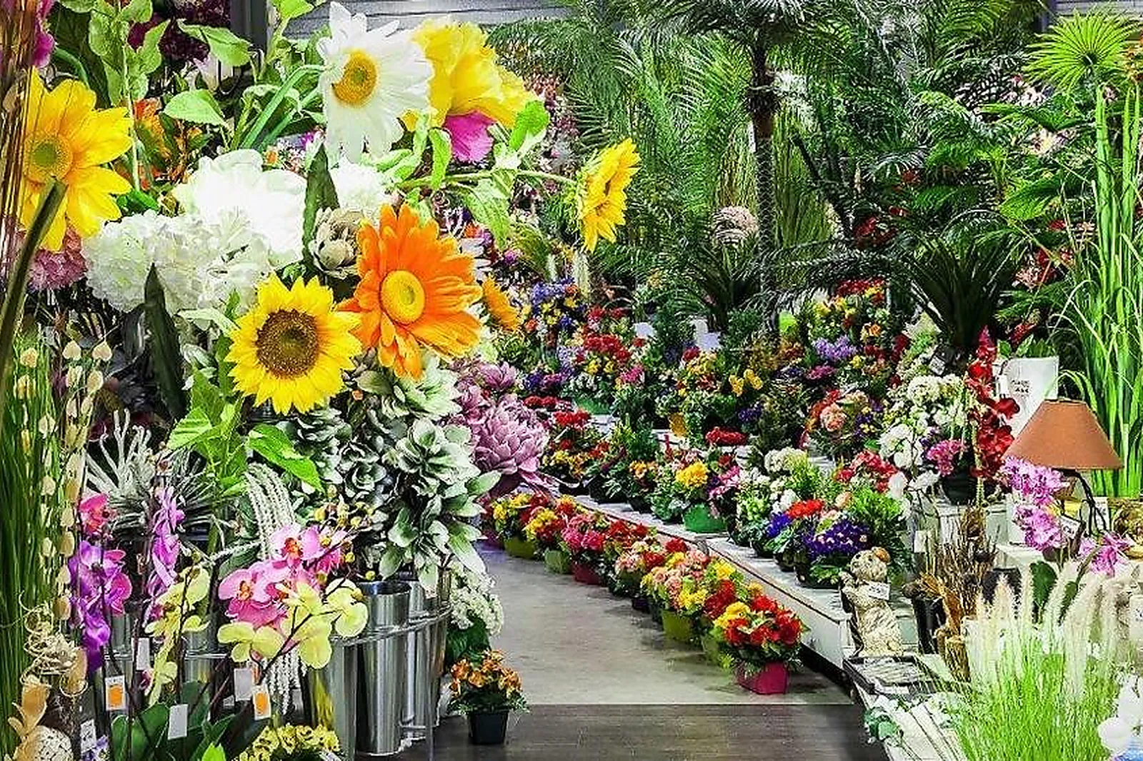 Prestataire Technique Audiovisuel, FLORA DÉCO