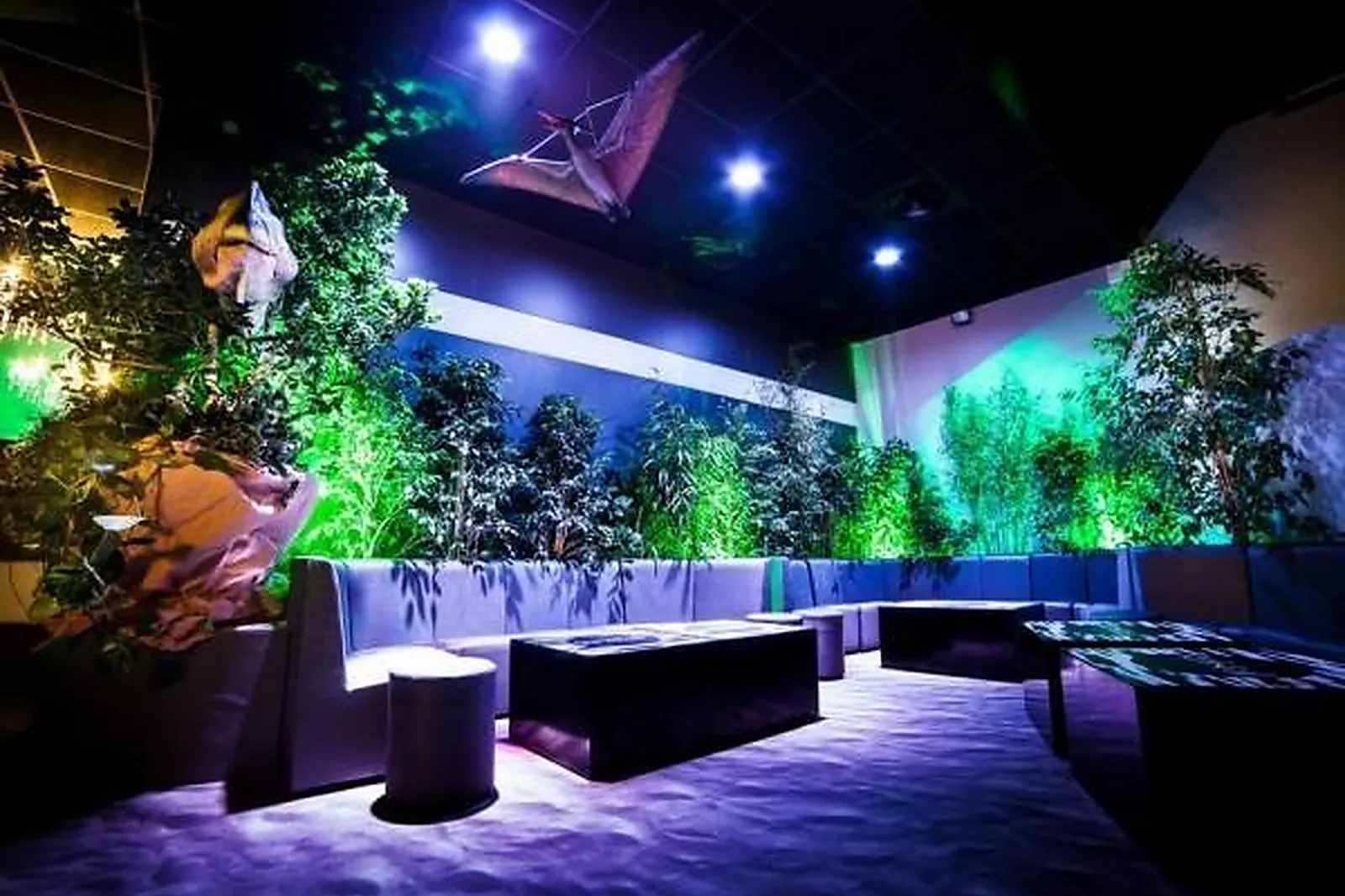 Prestataire Technique Audiovisuel, LOCATION DE PLANTES VERTES