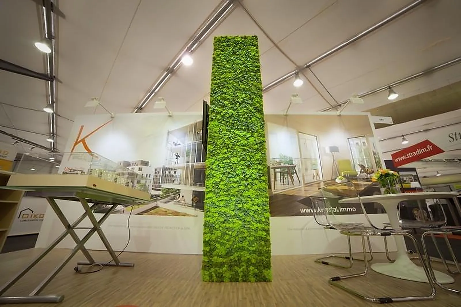 Prestataire Technique Audiovisuel, LOCATION DE PLANTES VERTES