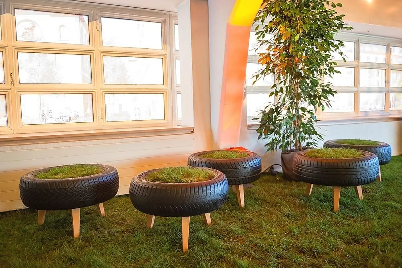 Prestataire Technique Audiovisuel, LOCATION DE PLANTES VERTES