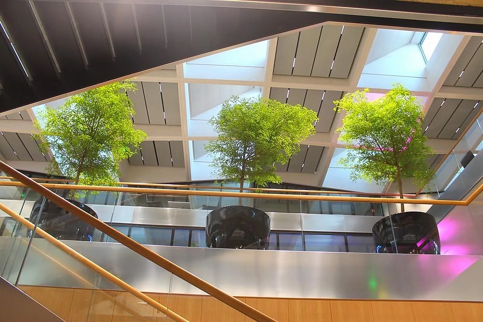 Prestataire Technique Audiovisuel, LOCATION DE PLANTES VERTES