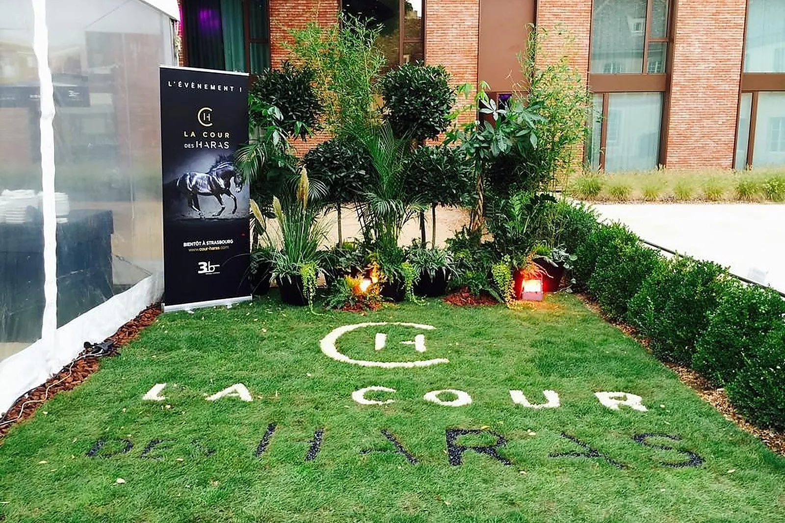 Prestataire Technique Audiovisuel, LOCATION DE PLANTES VERTES