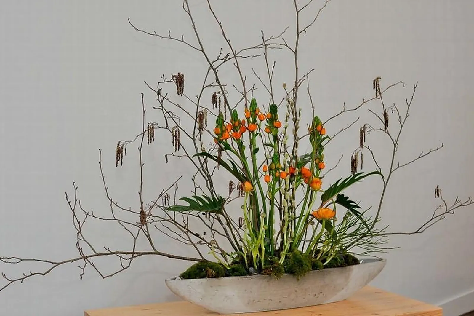 Prestataire Technique Audiovisuel, BLUMSTEIN