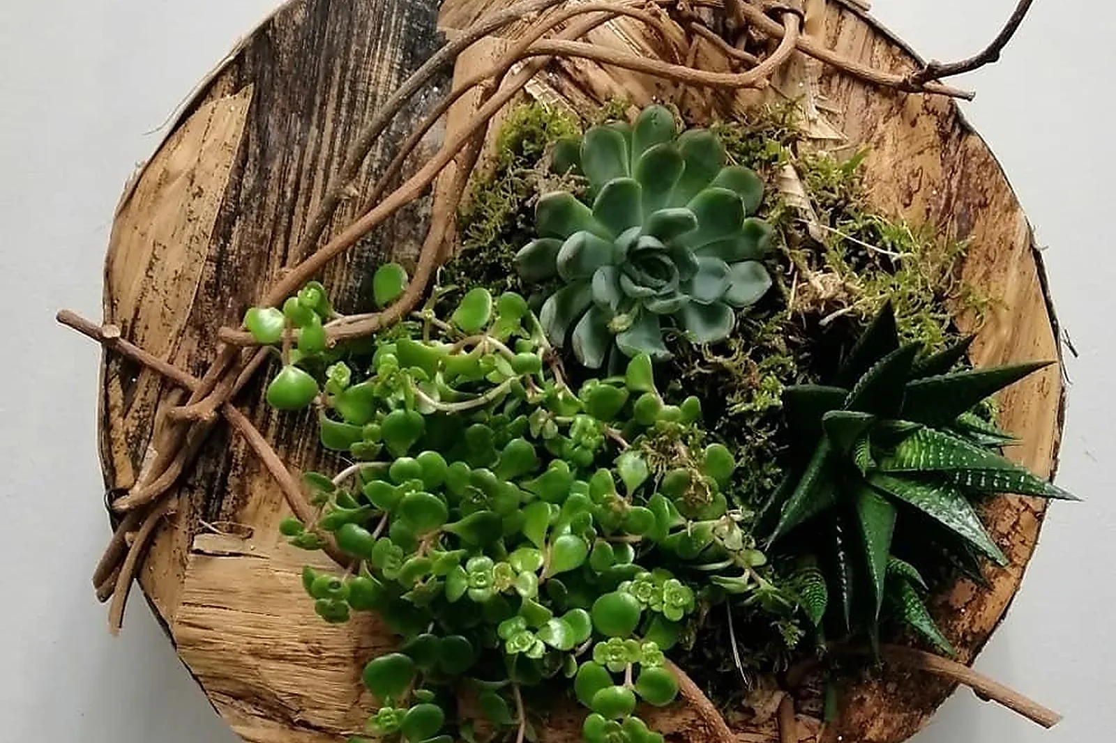 Prestataire Technique Audiovisuel, AMANDINE JUIGNET