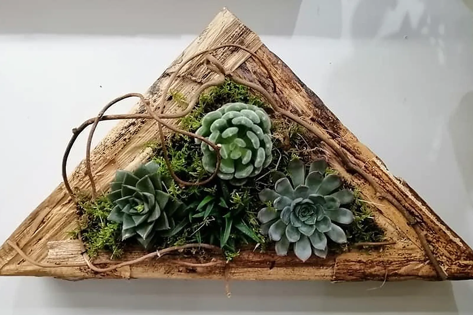 Prestataire Technique Audiovisuel, AMANDINE JUIGNET