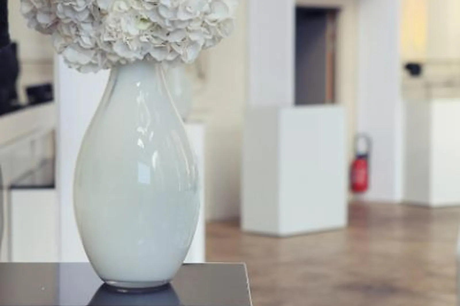 Prestataire Technique Audiovisuel, GALI M