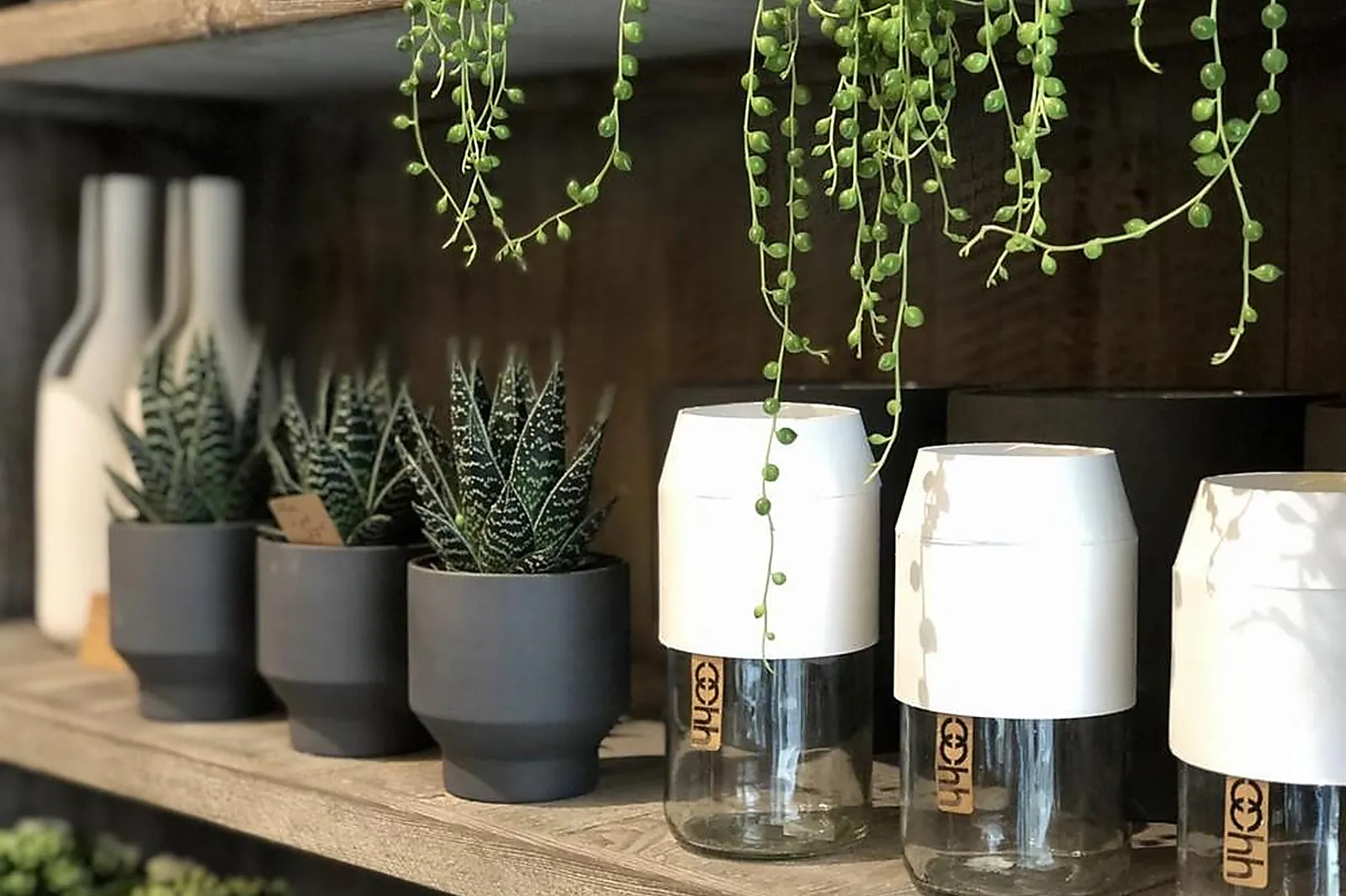 Prestataire Technique Audiovisuel, LE NATUREL FLEURISTE