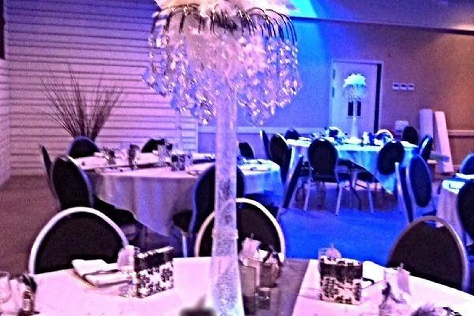 Prestataire Technique Audiovisuel, L'ETANG FLEURI