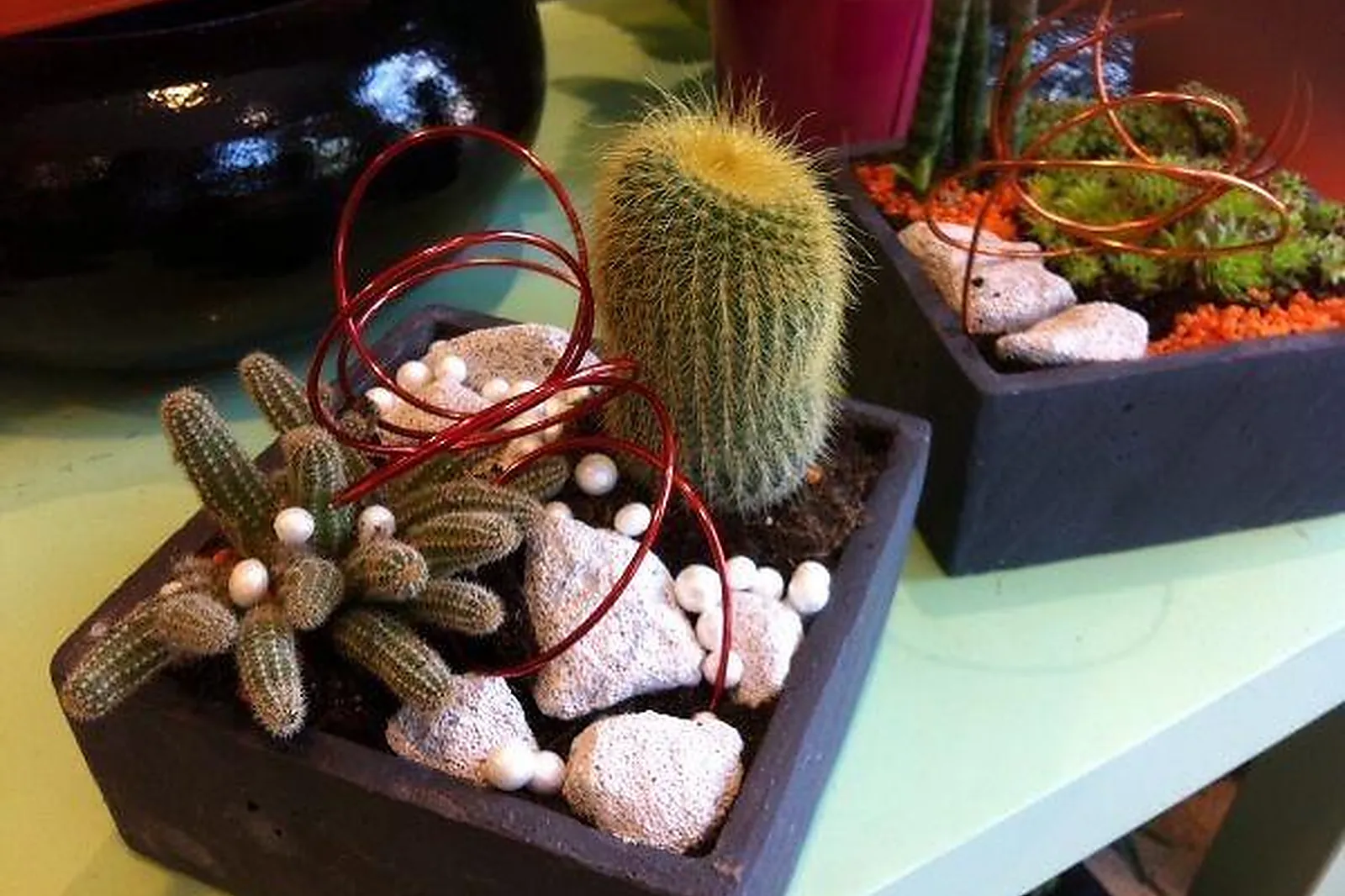 Prestataire Technique Audiovisuel, L'ETANG FLEURI