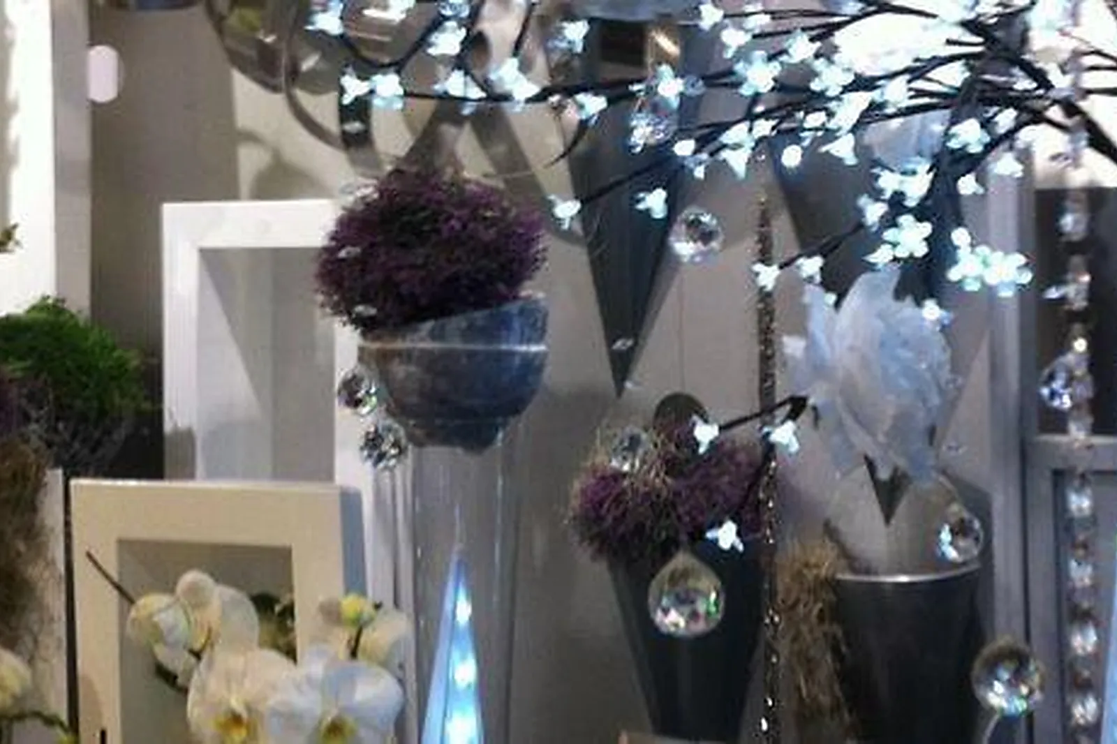 Prestataire Technique Audiovisuel, L'ETANG FLEURI