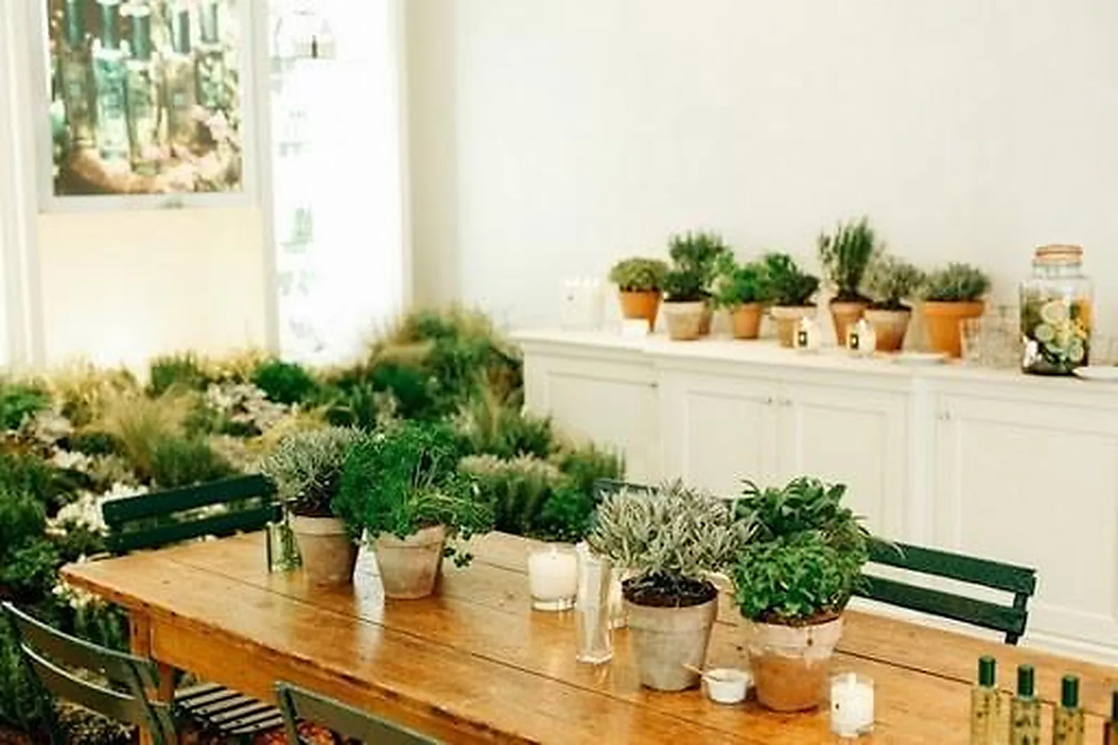 Prestataire Technique Audiovisuel, LILY PALOMA