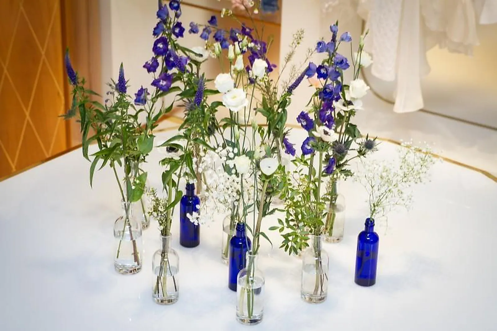 Prestataire Technique Audiovisuel, LILY PALOMA