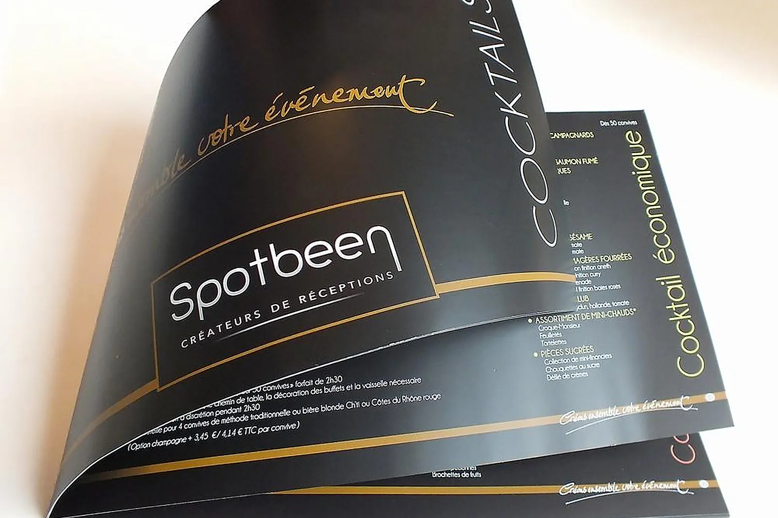 Prestataire Technique Audiovisuel, IMPRIMERIE CALOONE BRUNO