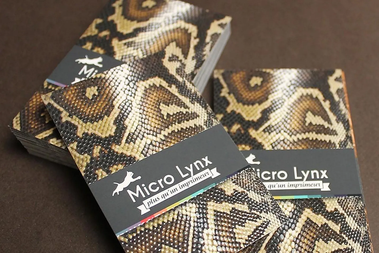 Prestataire Technique Audiovisuel, MICRO LYNX