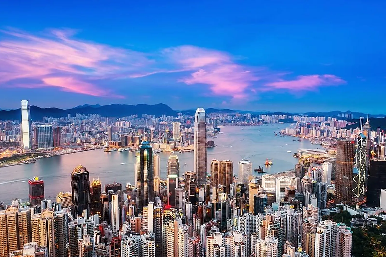 Services événementiels, TRANSPERFECT