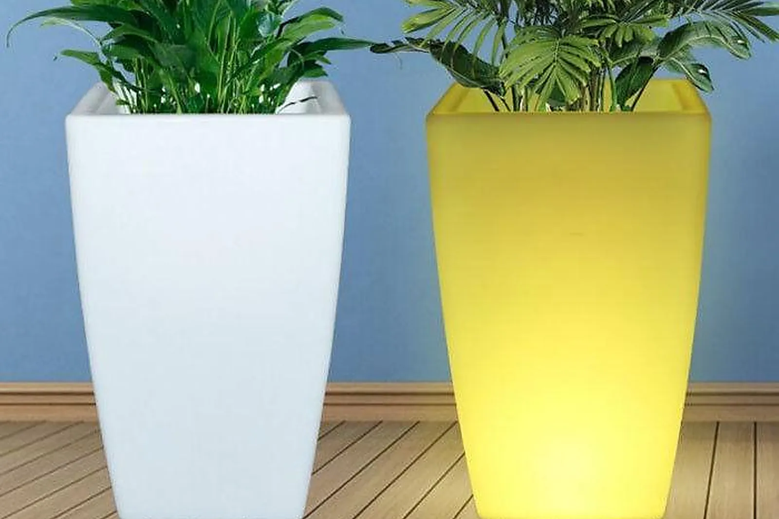 Services événementiels, LES CHAISES ROSES