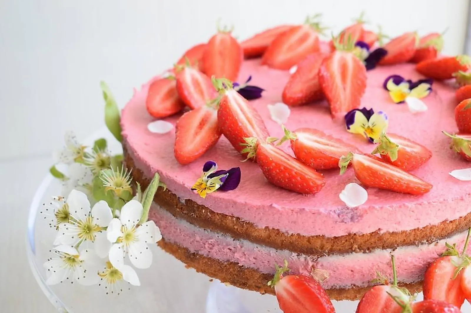 Photographe, PHOTOGRAPHES - GUIPAVAS (FINISTÈRE) : COOK'LICOT