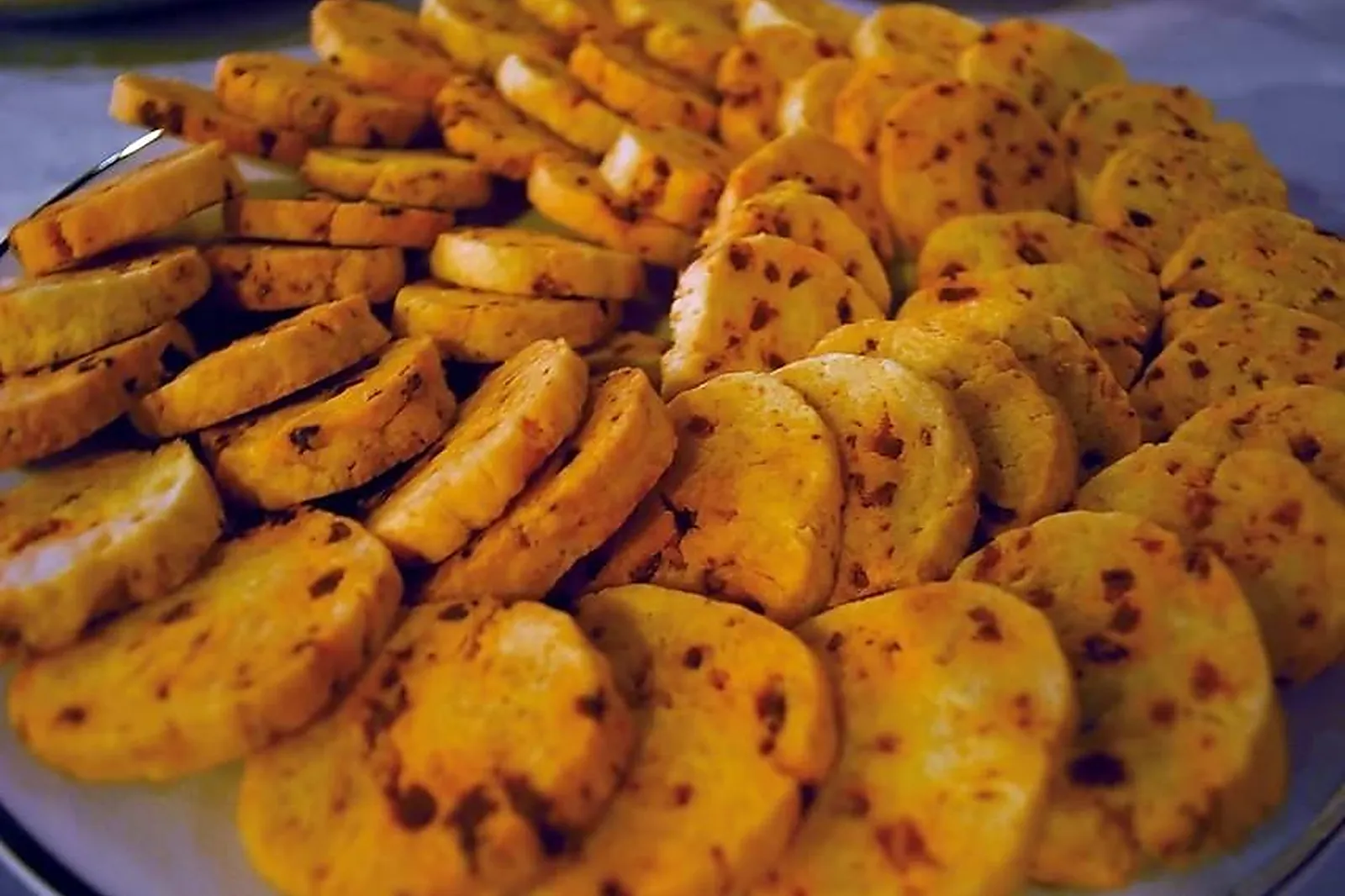 Photographe, PHOTOGRAPHES - GUIPAVAS (FINISTÈRE) : COOK'LICOT