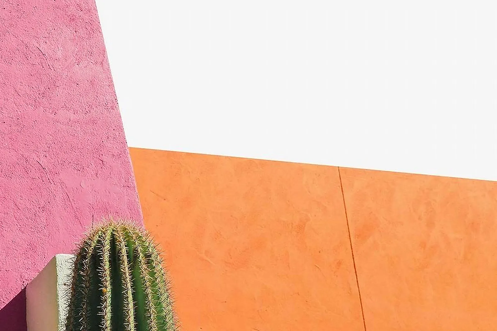 Photographe, PHOTOGRAPHES - NANTERRE (HAUTS-DE-SEINE) : MEDIA UP