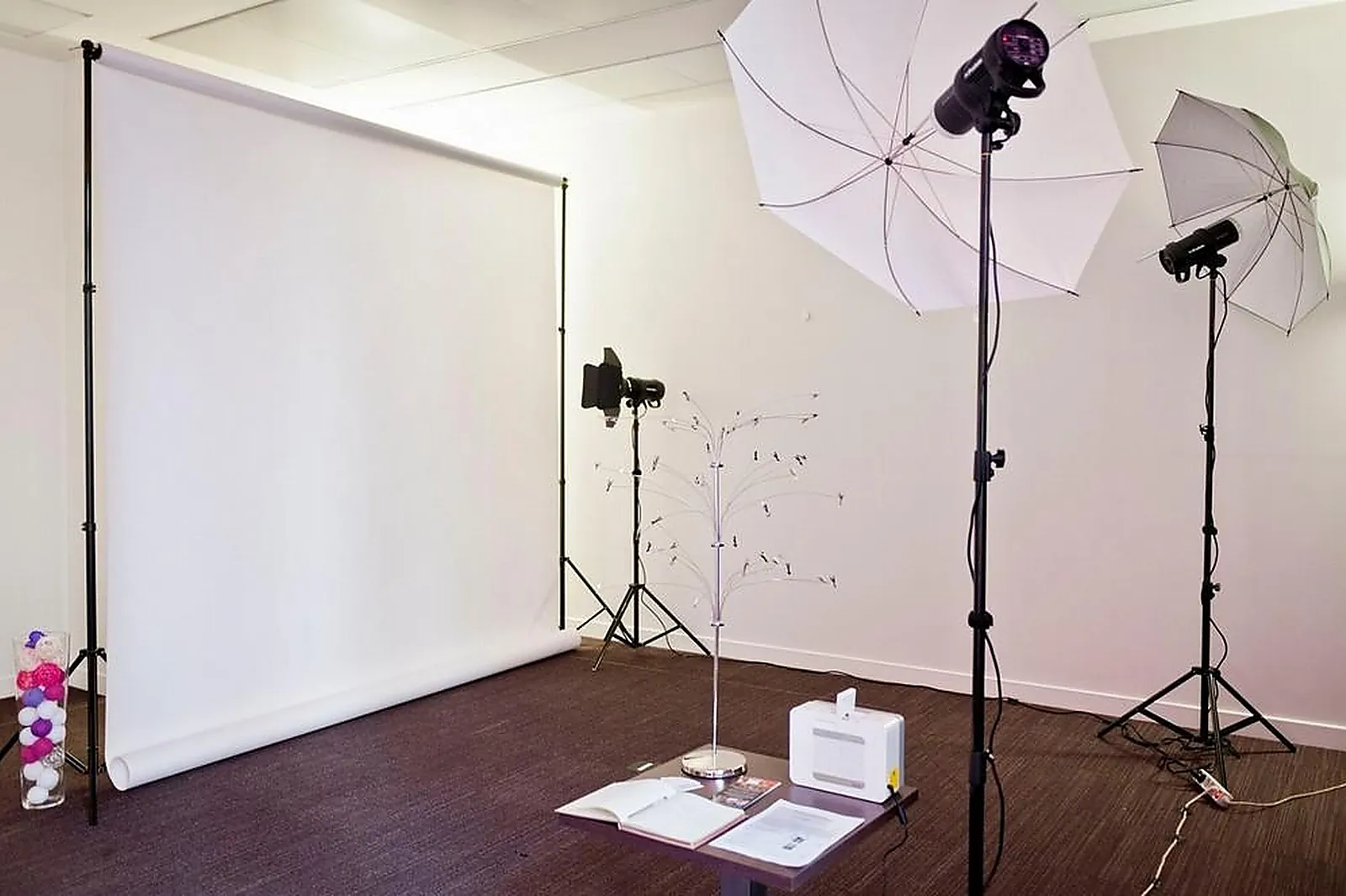 Photographe, PHOTOGRAPHES - PARIS (PARIS) : STUDIO EUCALIA