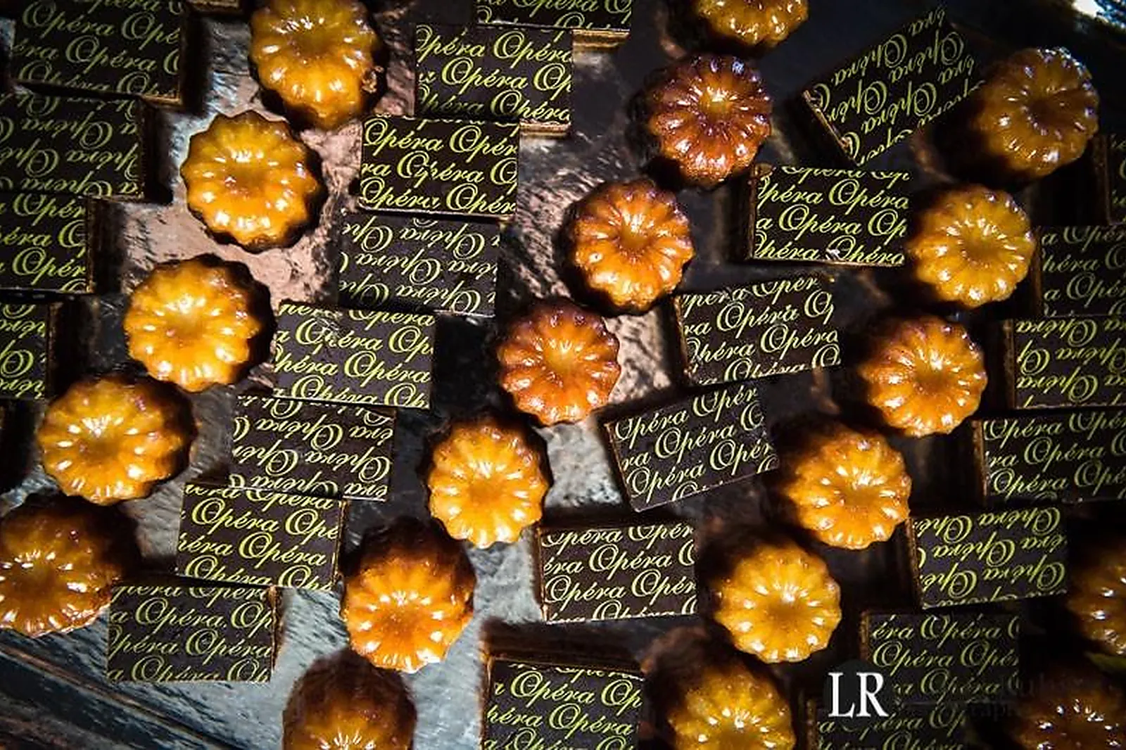 Photographe, PHOTOGRAPHES - TOULOUSE (HAUTE-GARONNE) : LIONEL RUHIER