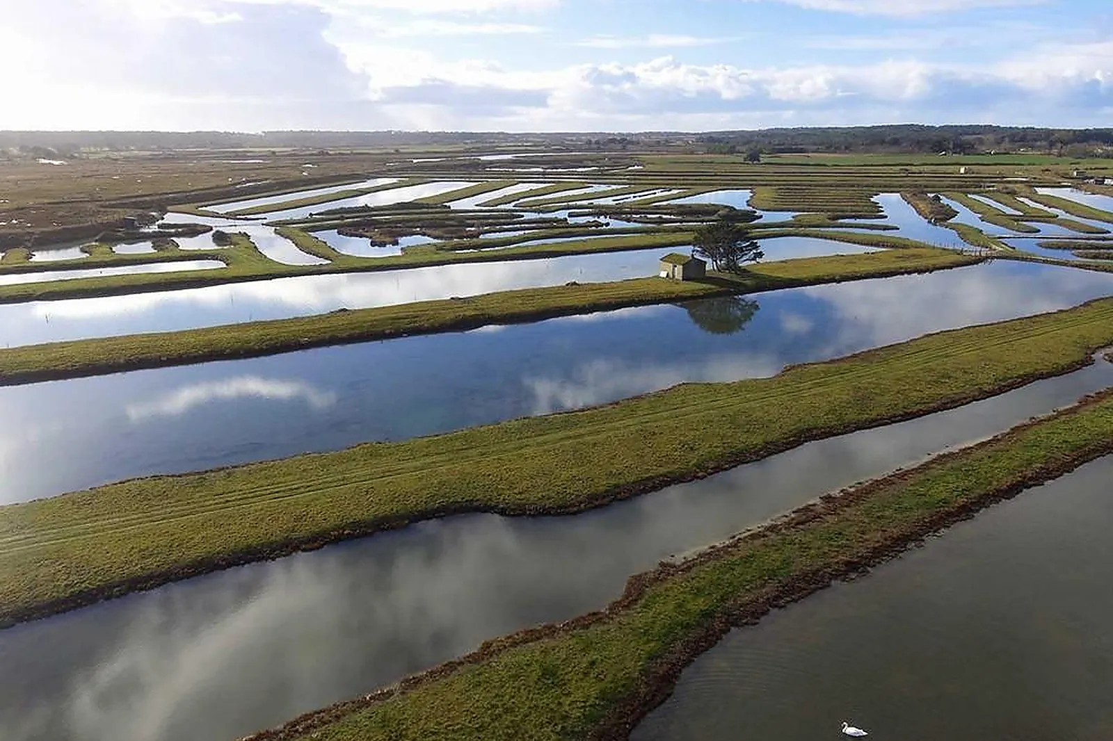 Prestataire Technique Audiovisuel, RÉALISATION AUDIOVISUELLE - SAINTE-FOY (VENDÉE) : DRONE OF VISUALS
