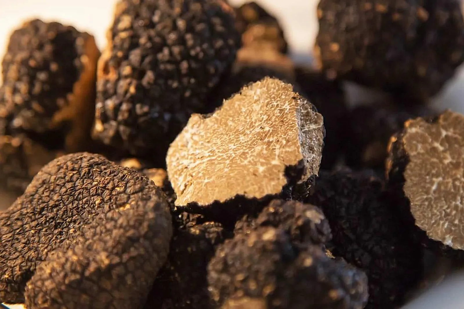 Cafés et Restaurants, RESTAURANTS - AIX-EN-PROVENCE (BOUCHES-DU-RHÔNE) : VINTREPIDE