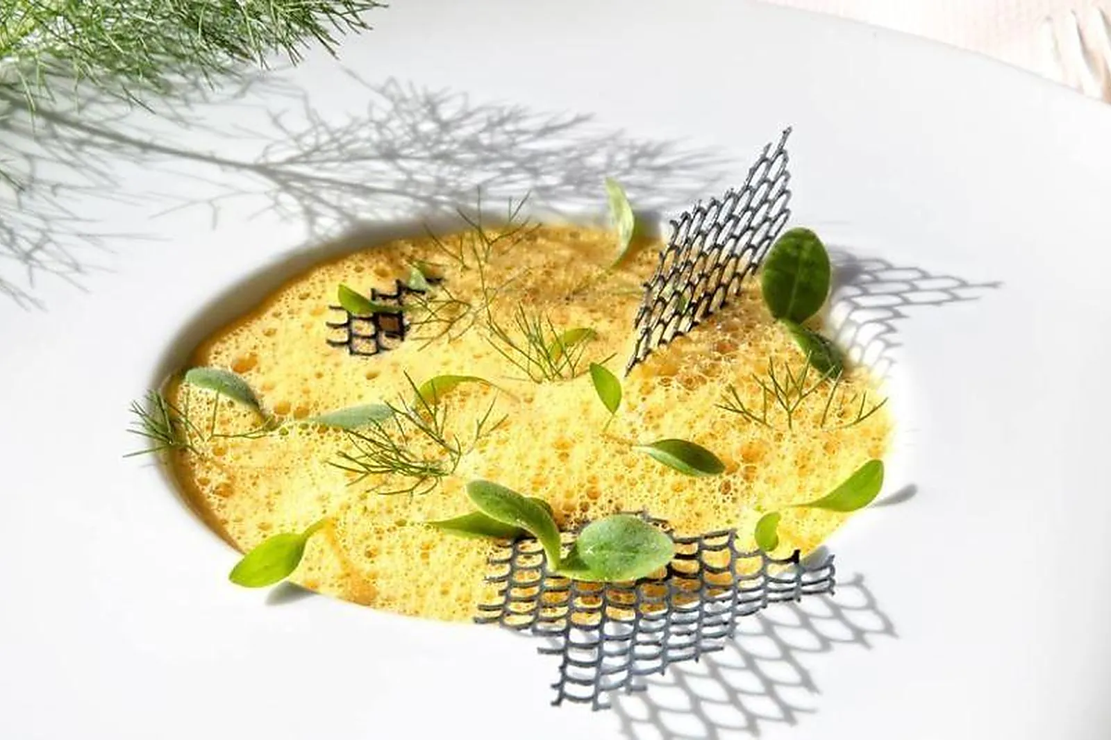 Cafés et Restaurants, RESTAURANTS - AVIGNON (VAUCLUSE) : HIELY LUCULLUS