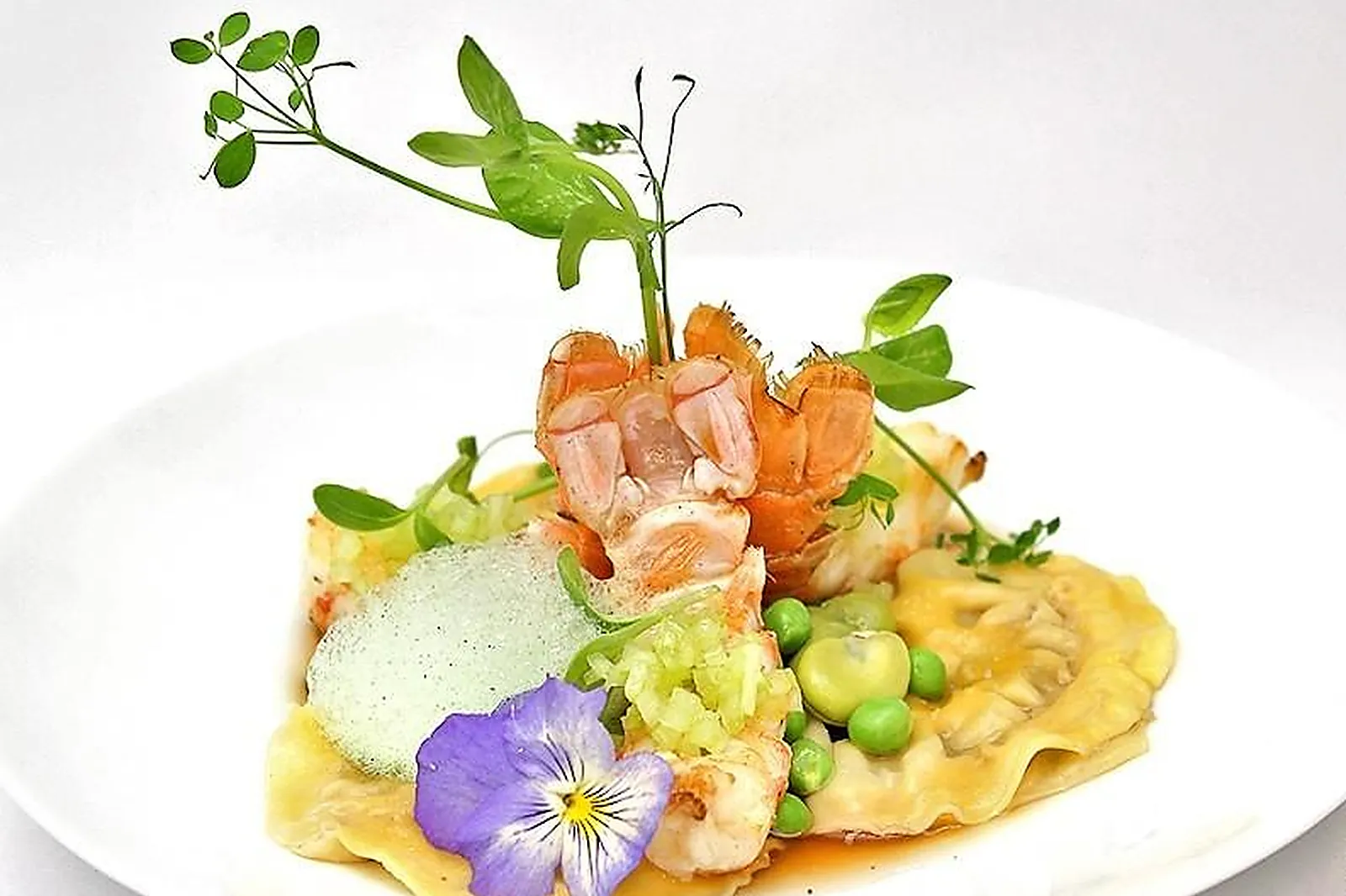 Cafés et Restaurants, RESTAURANTS - AVIGNON (VAUCLUSE) : RESTAURANT HIÉLY-LUCULLUS