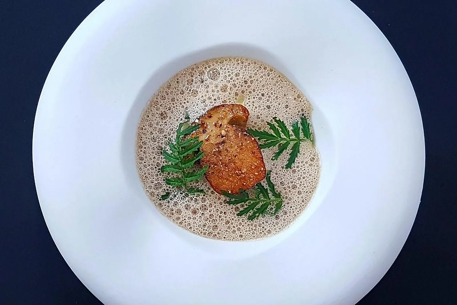 Cafés et Restaurants, RESTAURANTS - AVIGNON (VAUCLUSE) : RESTAURANT HIÉLY-LUCULLUS