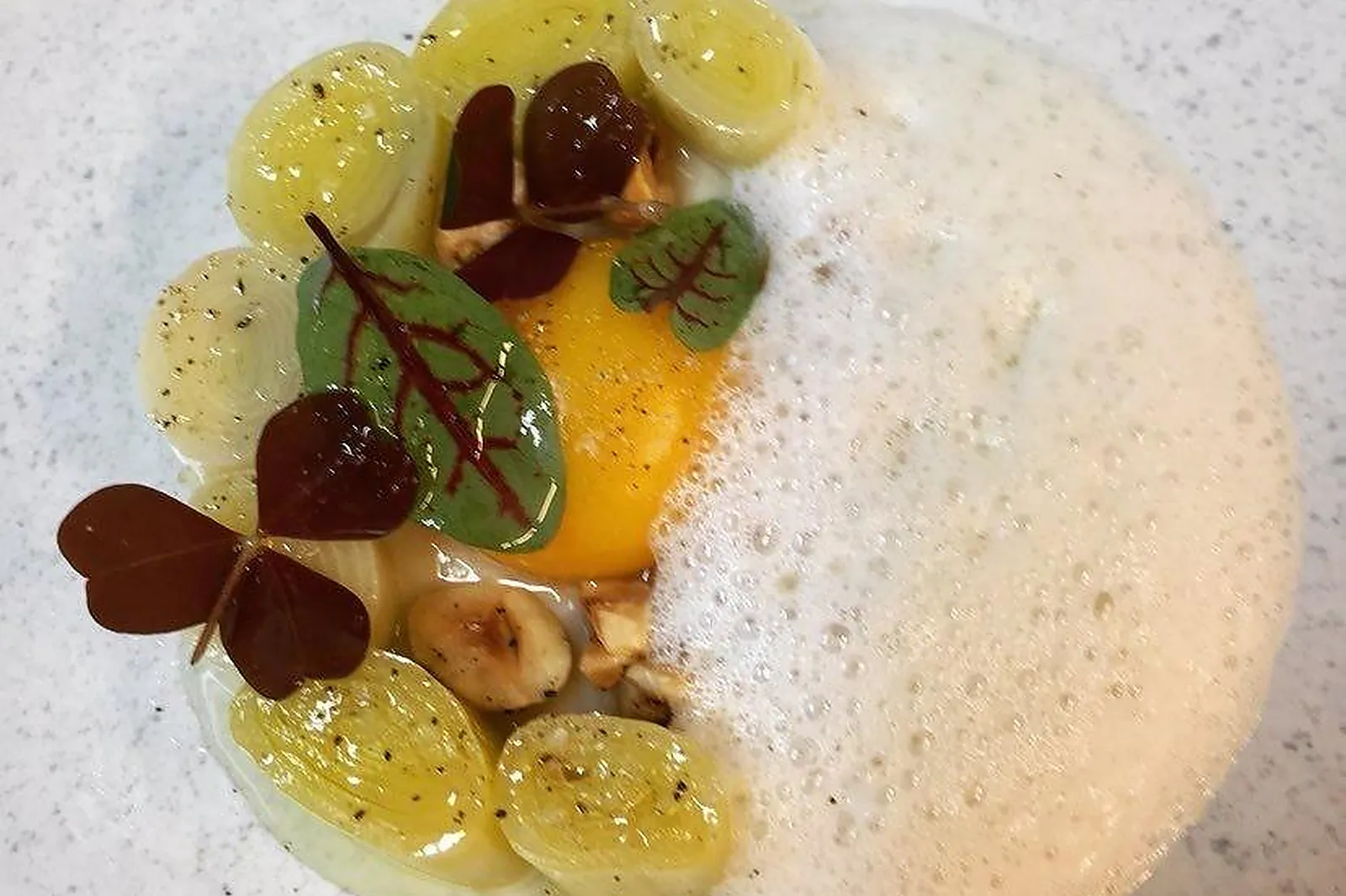 Cafés et Restaurants, RESTAURANTS - BORDEAUX (GIRONDE) : LL&RSQUO;OISEAU BLEU