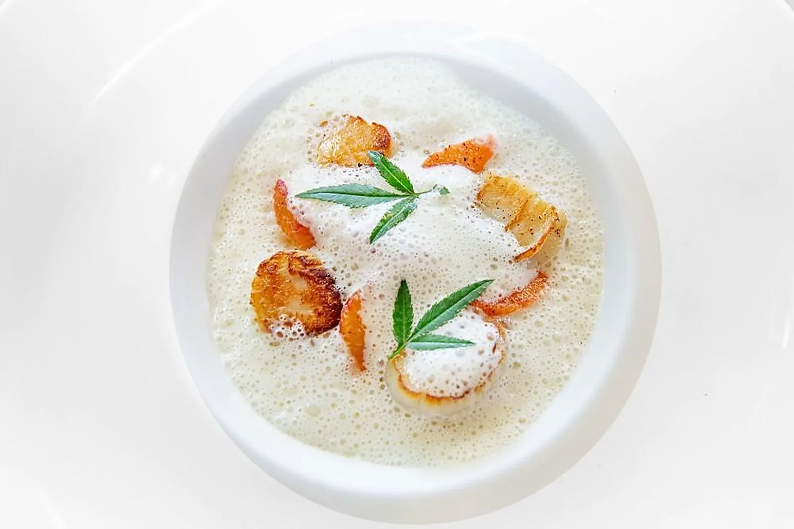 Cafés et Restaurants, RESTAURANTS - BORDEAUX (GIRONDE) : LL&RSQUO;OISEAU BLEU