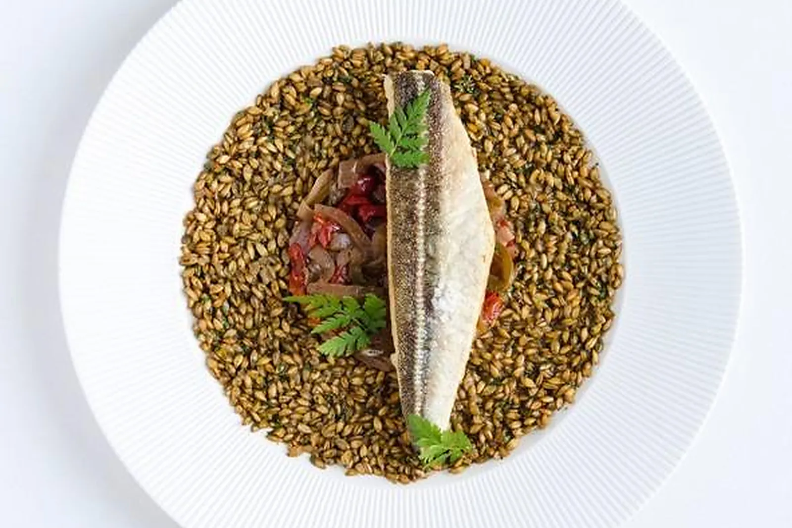 Cafés et Restaurants, RESTAURANTS - CAJARC (LOT) : LL&RSQUO;ALLEE DES VIGNES