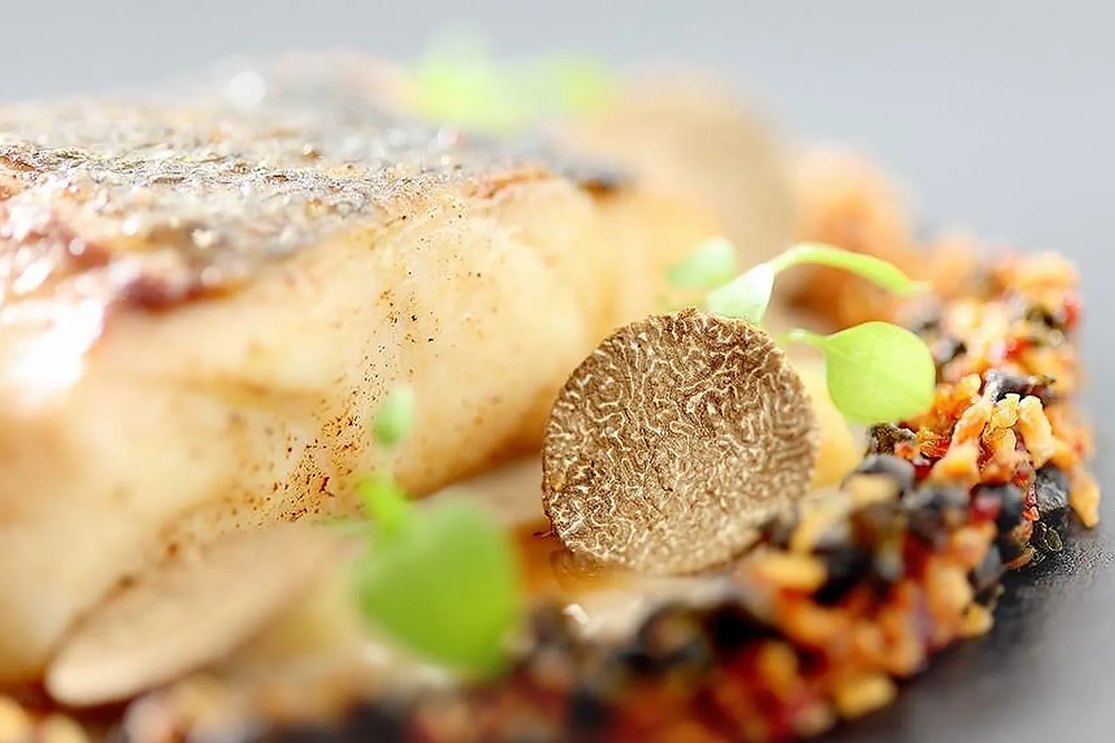 Cafés et Restaurants, RESTAURANTS - CARCASSONNE (AUDE) : LA TABLE DE FRANCK PUTELAT