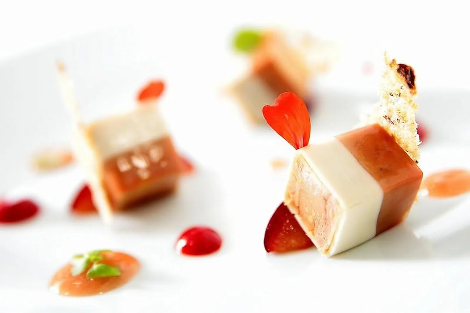 Cafés et Restaurants, RESTAURANTS - CARCASSONNE (AUDE) : LA TABLE DE FRANCK PUTELAT