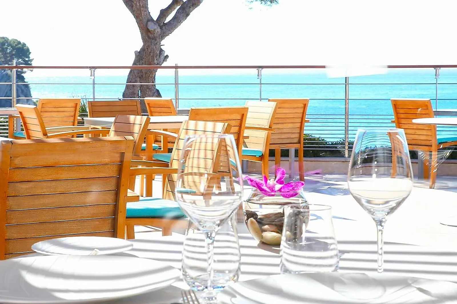 Cafés et Restaurants, RESTAURANTS - CASSIS (BOUCHES-DU-RHÔNE) : LA VILLA MADIE