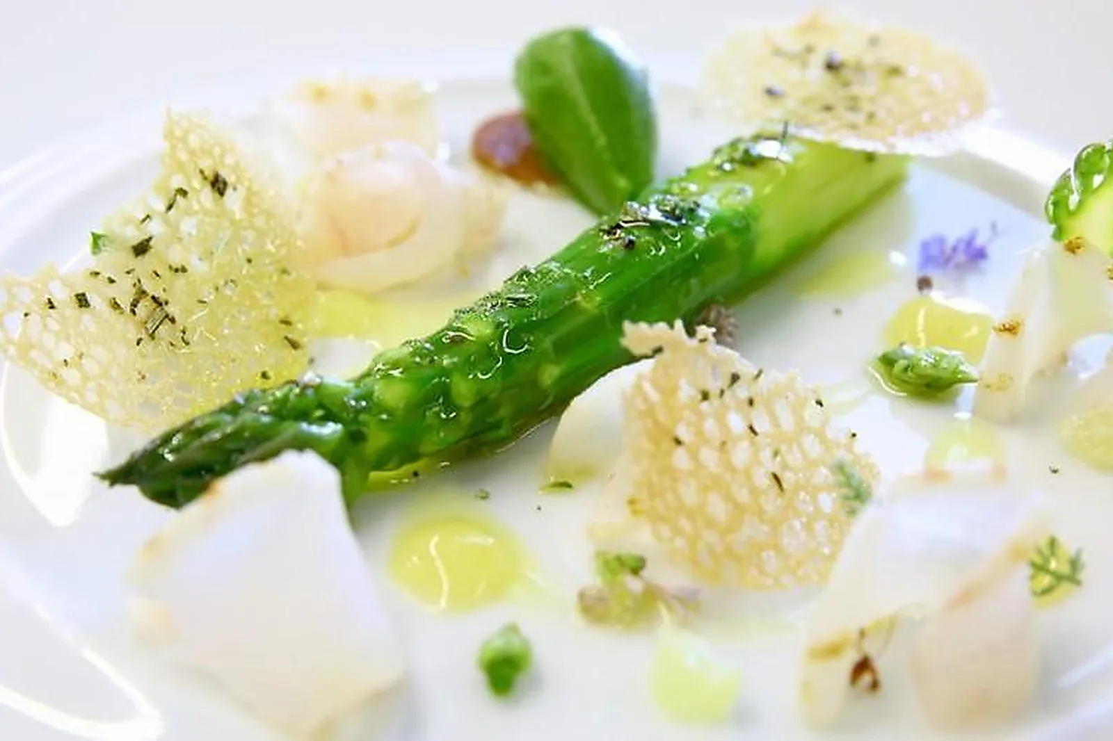 Cafés et Restaurants, RESTAURANTS - CASSIS (BOUCHES-DU-RHÔNE) : LA VILLA MADIE