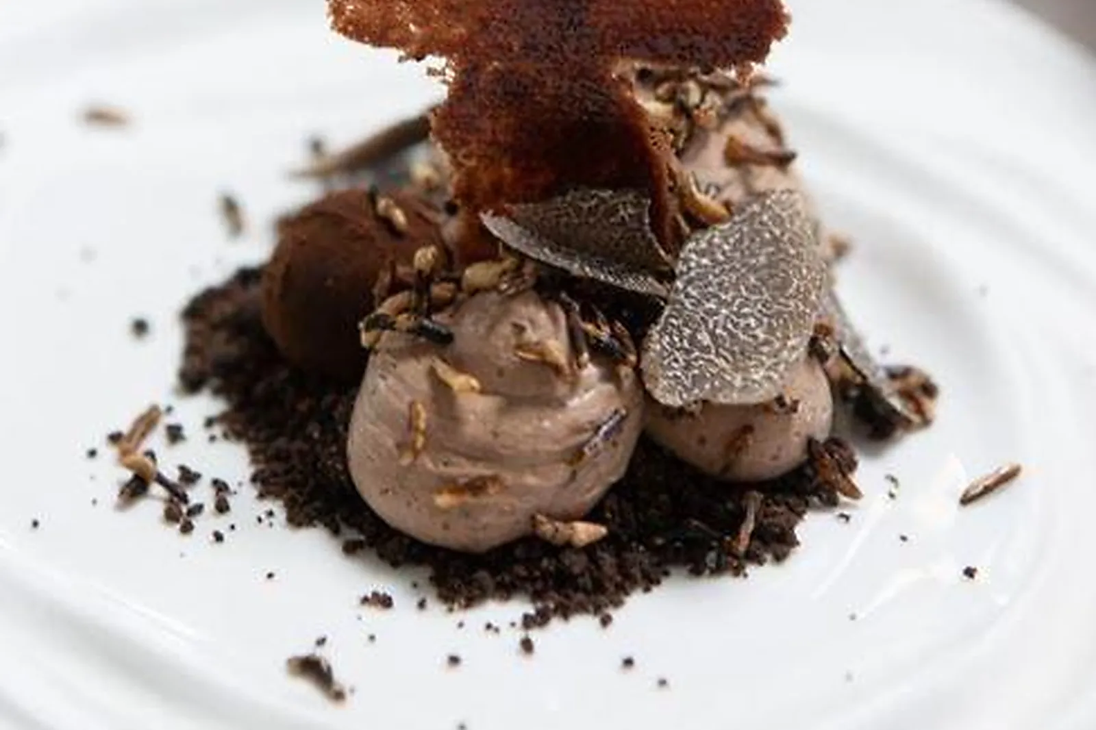 Cafés et Restaurants, RESTAURANTS - CASTANET-TOLOSAN (HAUTE-GARONNE) : LA TABLE DES MERVILLES