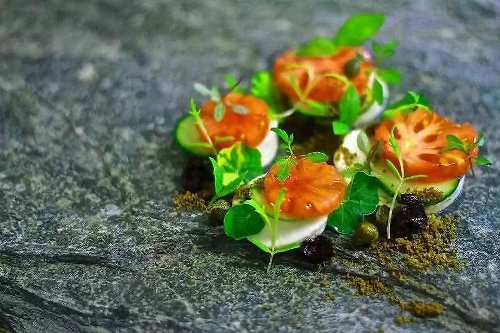 Cafés et Restaurants, RESTAURANTS - CHARTRES (EURE-ET-LOIR) : RESTAURANT TERRA