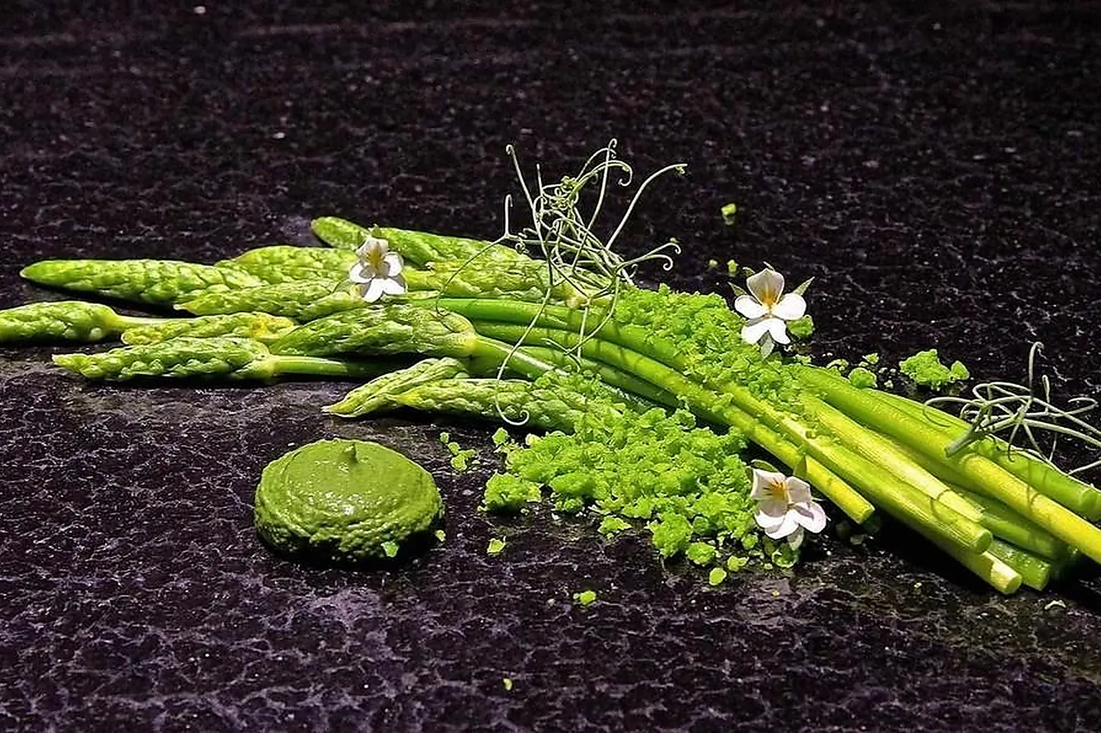 Cafés et Restaurants, RESTAURANTS - CHARTRES (EURE-ET-LOIR) : RESTAURANT TERRA