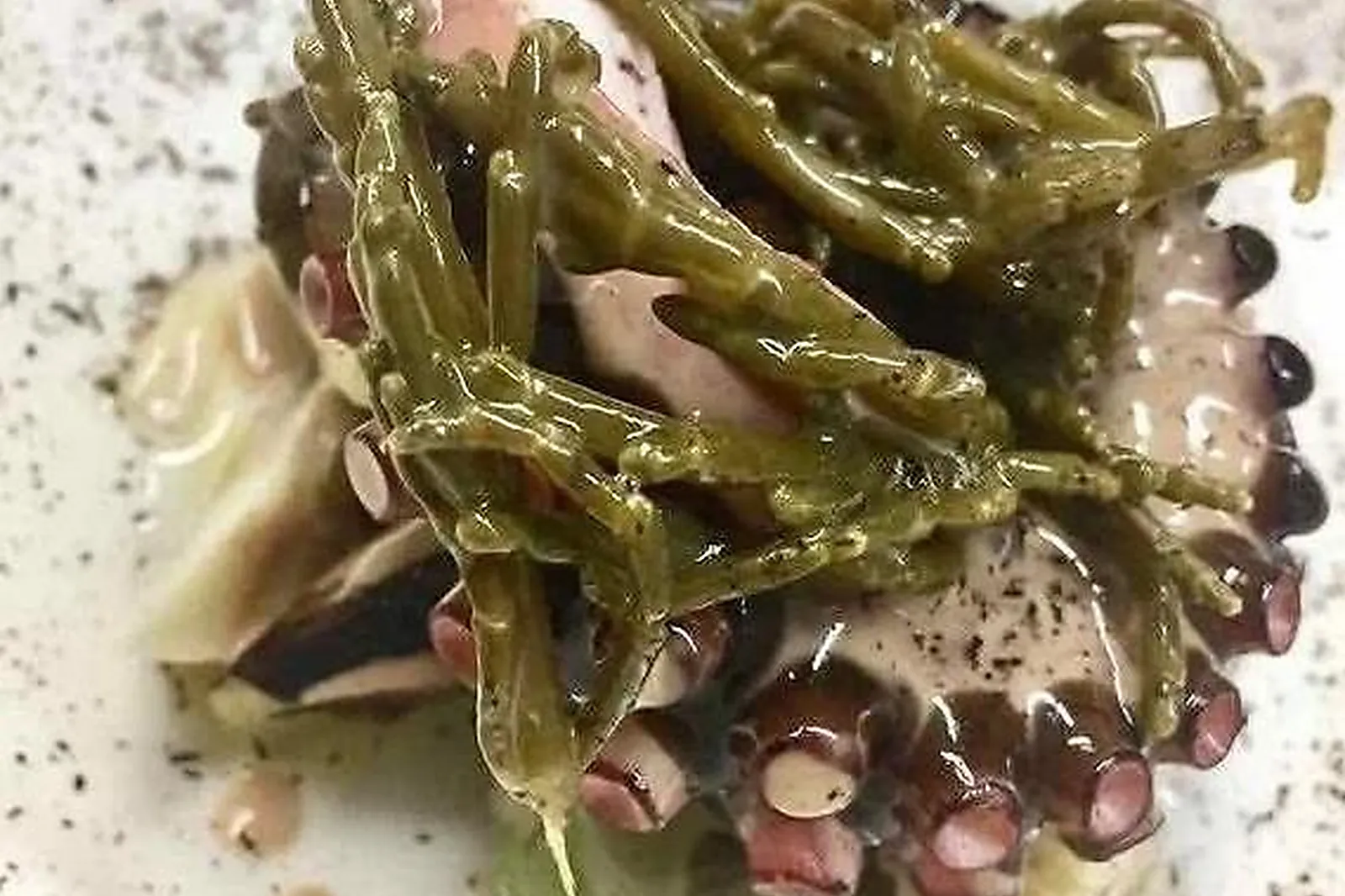 Cafés et Restaurants, RESTAURANTS - CHARTRES (EURE-ET-LOIR) : RESTAURANT TERRA