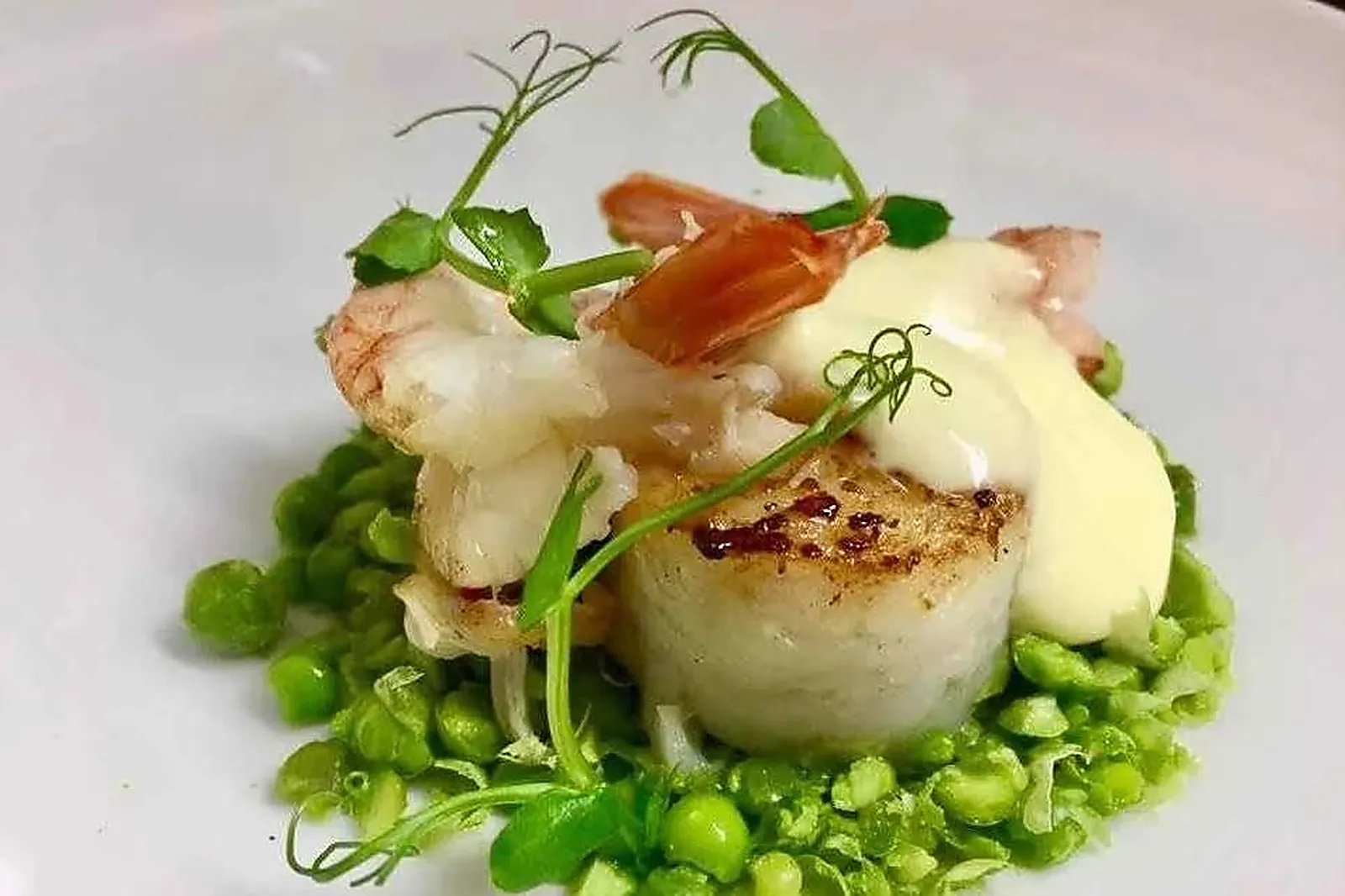 Cafés et Restaurants, RESTAURANTS - CHARTRES (EURE-ET-LOIR) : RESTAURANT TERRA